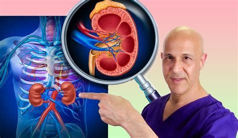 How to Clean Out Your KIDNEYS Naturally