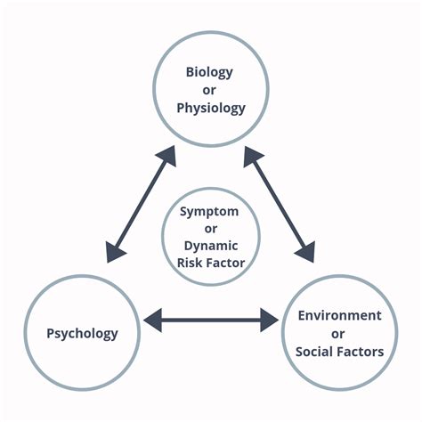 Describing A Person Using The Biopsychosocial Model | The Best Porn Website