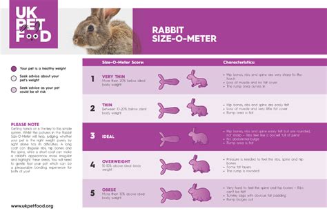 Rabbit Size-O-Meter | UK Pet Food