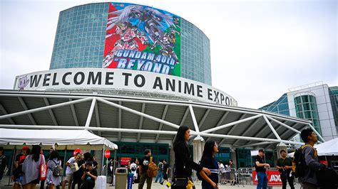 2019 Year in Review: Reflections, Challenges and Expectations - Anime Expo