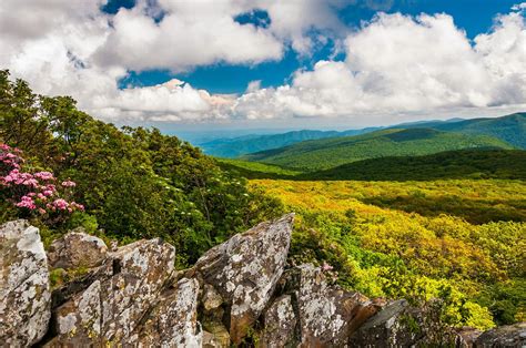 Shenandoah National Park | National Park Foundation