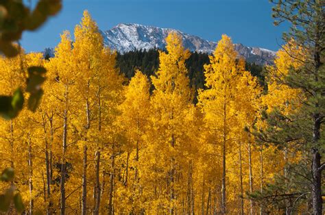 The best places to see fall colors in Colorado Springs | Challenger Homes