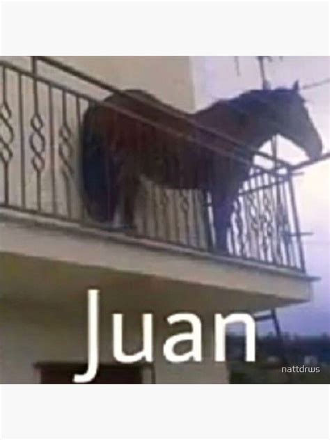 "Juan The Horse Meme Funny " Sticker for Sale by nattdrws | Redbubble