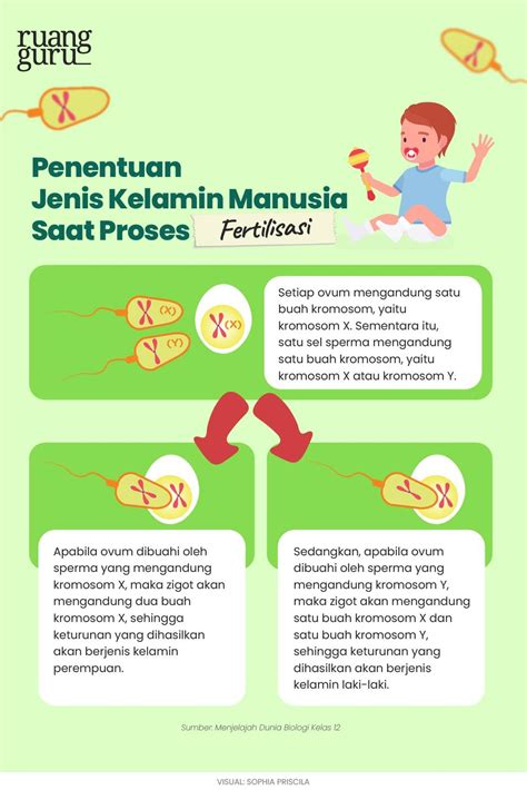 Bagaimana Penentuan Jenis Kelamin pada Makhluk Hidup?