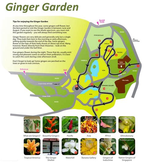 Ginger Garden Map | Singapore Botanic Gardens - Ontheworldmap.com