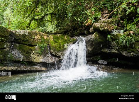 Waterfall and river in Misahualli, Amazon, Ecuador Stock Photo - Alamy