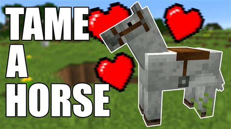 How to Tame a Horse in Minecraft (All Versions) - YouTube