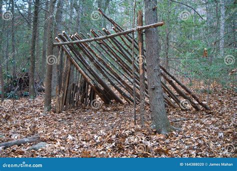 Primitive Lean To Survival Shelter In The Forest. Makeshift Campsite In The Wilderness ...