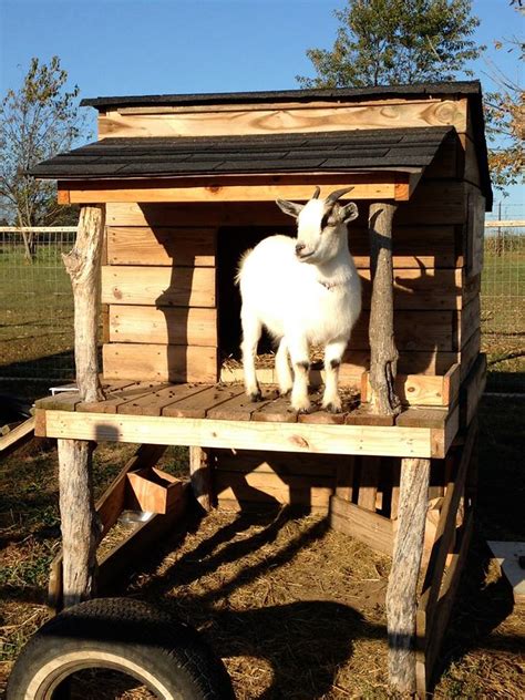 Pallet Wooden Made Goat House / Shelter | Pallet Ideas