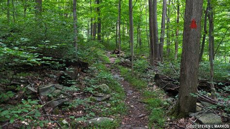 Catoctin Mountain Park | HORSEBACK RIDING