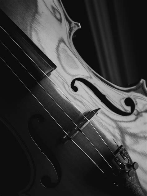 White and Brown Violin in Close Up Photography · Free Stock Photo