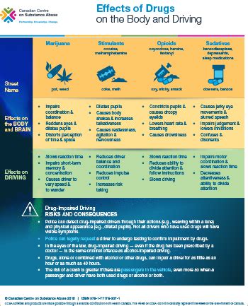 Effects of Drugs on the Body and Driving [handout] | Canadian Centre on ...