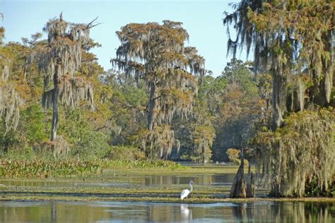 You have to see these roadside attractions in Florida: 10Best State Guides Article by 10Best.com ...