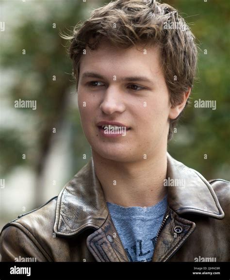 ANSEL ELGORT, THE FAULT IN OUR STARS, 2014 Stock Photo - Alamy