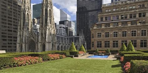 The most beautiful rooftop gardens in New York - World Today News