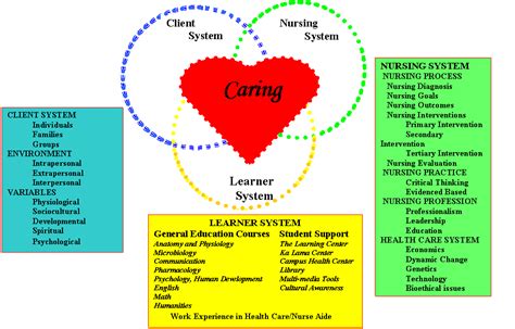 Nursing Theories: Betty Neuman's Systems Model