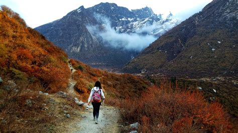 Langtang Valley Trek - Altitude, Map, Itinerary, Permit