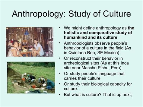 Introduction to Anthropology