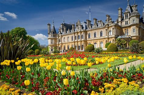 Spring Tulips in Full Bloom, Waddesdon Manor Gardens, Buckinghamshire, England | Manor garden ...