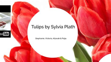 Tulips by Sylvia Plath by Victoria Cross on Prezi