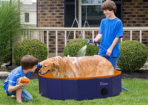 Best Swimming Pools For Dogs of 2021: Top 4 Choises | Dogsrecommend