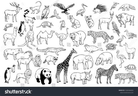 Zoo Animals Traditional Outline Icons Drawing Stock Vector (Royalty ...