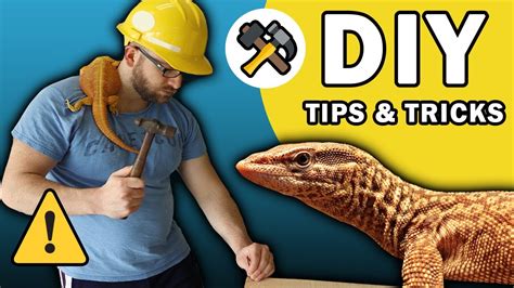 DIY Reptile Enclosure Building Tips! DO NOT MAKE THESE MISTAKES! - YouTube