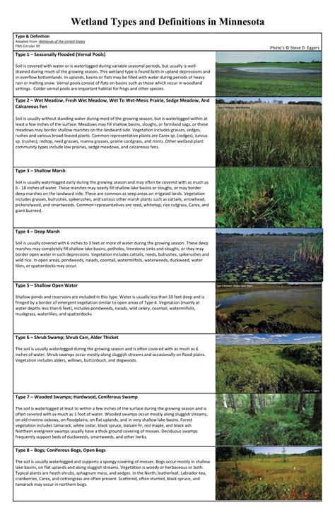 Wetland Types and Definitions in Minnesota - DocsLib