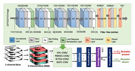 Gene Mutation Prediction using Deep Learning | Mohammad Arafat Hussain, PhD