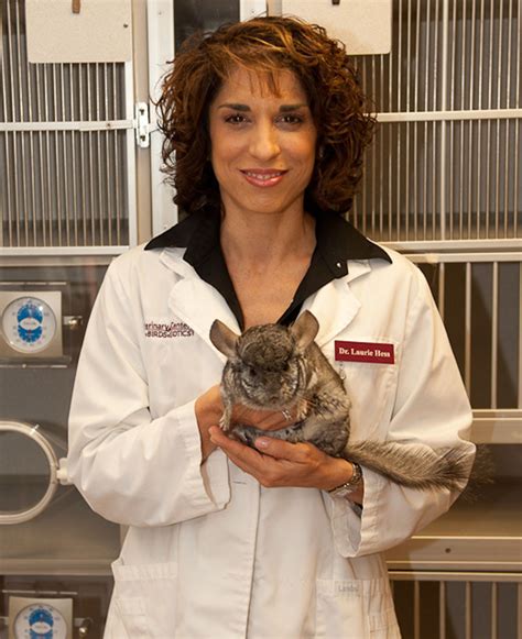 Dr. Laurie Hess, Exotic Animal Veterinarian & Bird Specialist, Advocates Medical Care For Exotic ...