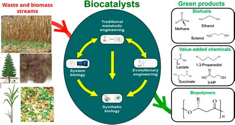 Frontiers | Editorial: Design and application of biocatalysts for biofuel and bio-based material ...