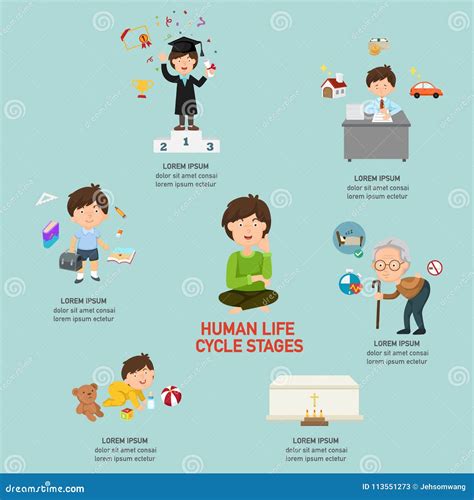 Human Life Cycle Set Cartoon Vector | CartoonDealer.com #102619895