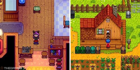 Stardew Valley: A Complete Guide To Making Clothes - TrendRadars