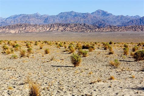 What Are The Characteristics Of A Semi-arid Climate Pattern? - WorldAtlas