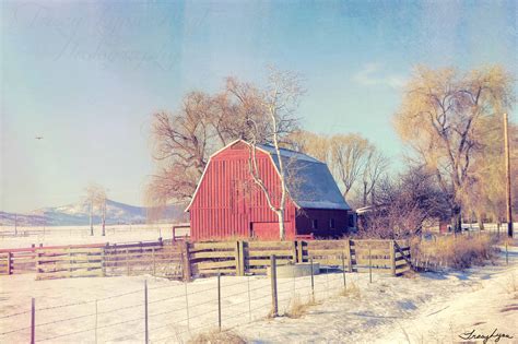 Little red Barn | tracylynnhartphotography