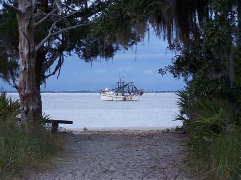 Jekyll Island Camping - Nov 2010 (39) | Matt | Flickr