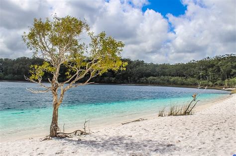 Fraser Island General Information - Discover the Beauty - Fraser Island