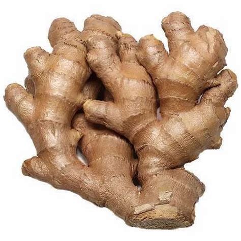 Raw Ginger (Medium Quality) at Rs 51/kg | Ginger in Guwahati | ID: 11492911888