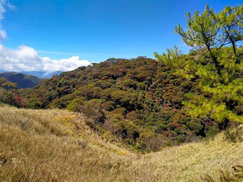 Mount Pulag - the coldest place in the Philippines - Fun In The Philippines