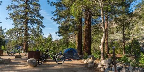 Explore Best Free Campgrounds in 2024 for Camping