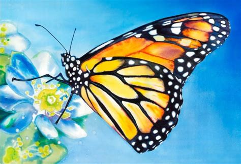 10+ Beautiful Butterfly Painting Ideas | Free & Premium Templates