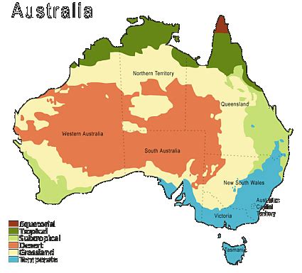 Australian Tropical Rainforest