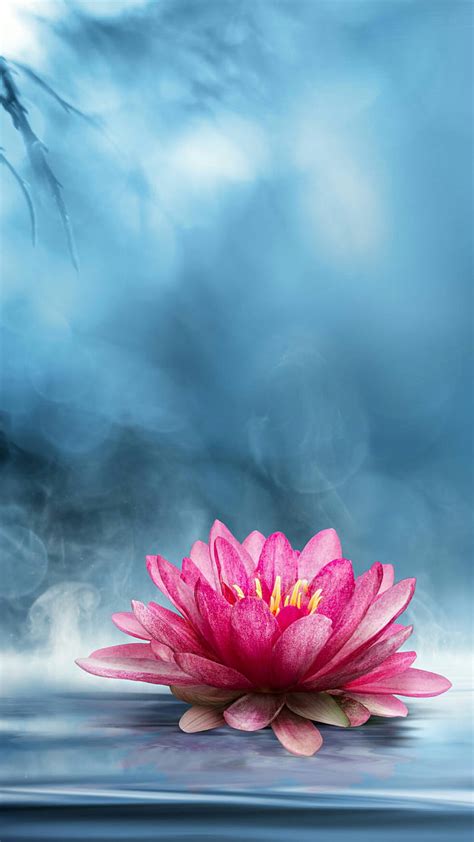 Lotus Backgrounds