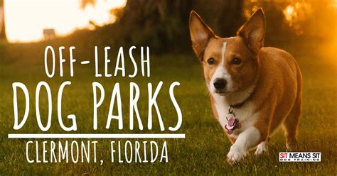 Off Leash Dog Parks in Clermont, FL | Sit Means Sit Dog Training Clermont