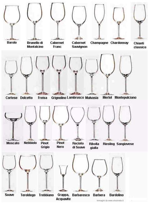 Look, swirl, smell, sip - types of wine glasses and their uses - Coaxums Low Country Cuisine