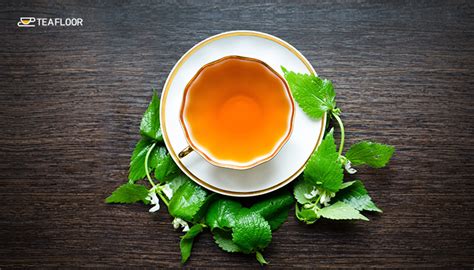 Top 6 Health Benefits of Peppermint Tea