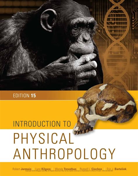 Through The Lens Of Anthropology: An Introduction To Human Evolution ...