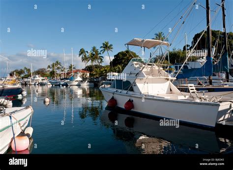 Lahaina harbor West Maui Hawaii showing big game fishing boats and pleasure boats Stock Photo ...