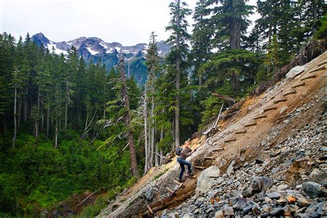 Hoh River Trail, Olympic National Park, Hoh Rainforest to Blue Glacier on Mt. Olympus | Branaman ...