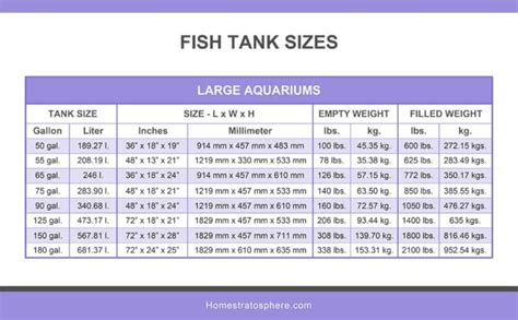 Fish Tank Sizes (Charts & Tables) - Home Stratosphere